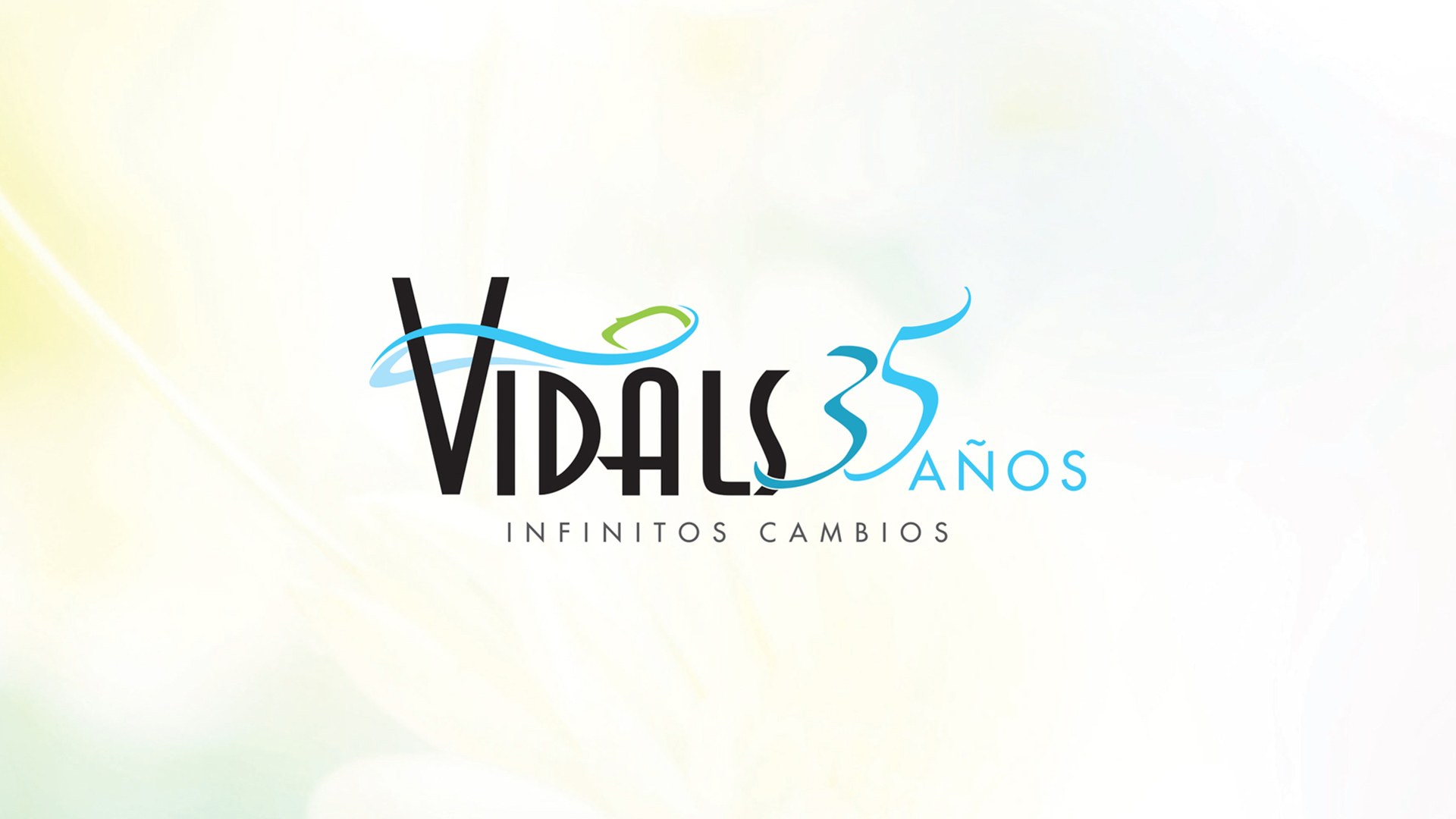 Vidals_Logo_2